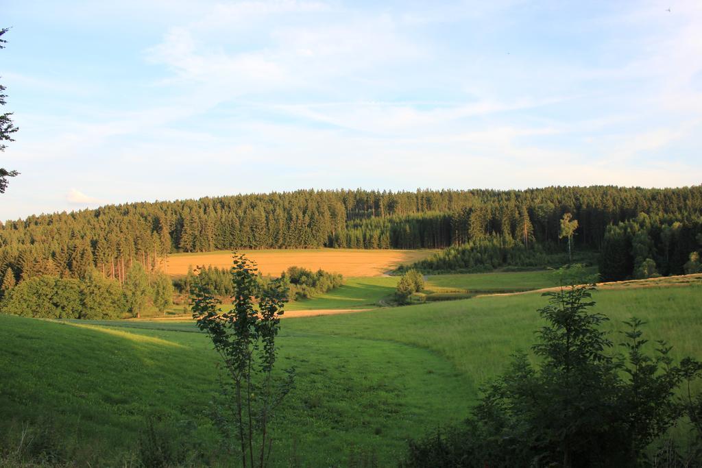 Landgasthof Haueis Marktleugast Dış mekan fotoğraf