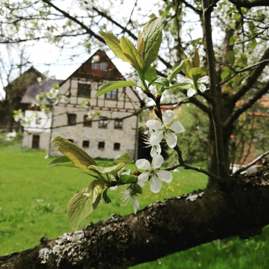 Landgasthof Haueis Marktleugast Dış mekan fotoğraf